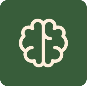 Brain Icon
